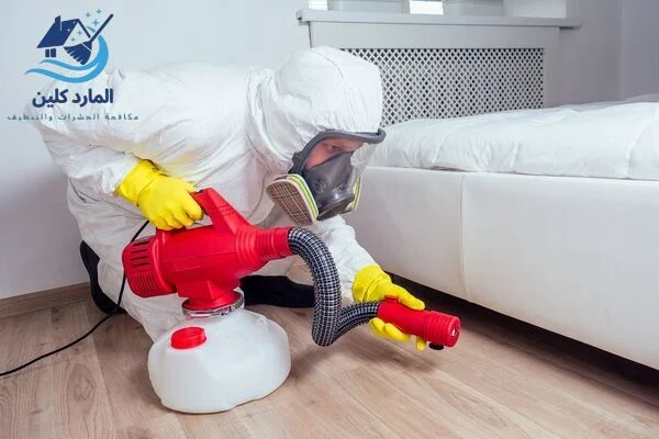 شركة مكافحة حشرات في عجمان خصم 25%