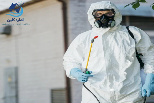 شركة مكافحة حشرات في العين نصلك خلال 60 دقيقة فقط