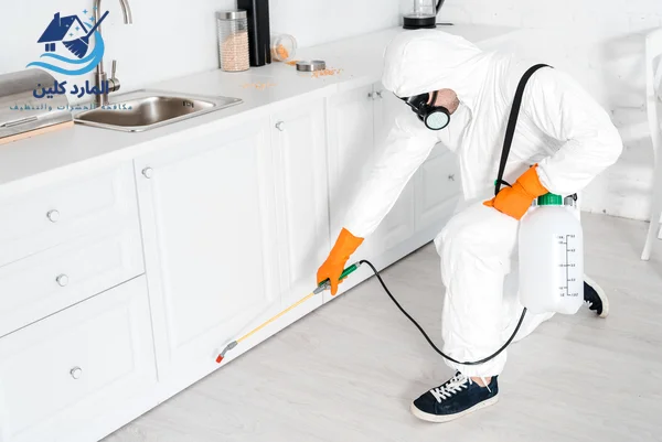 شركة مكافحة حشرات في عجمان