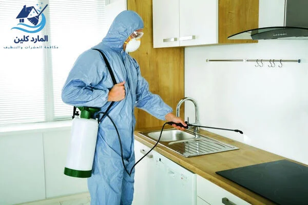 شركة مكافحة حشرات في دبي