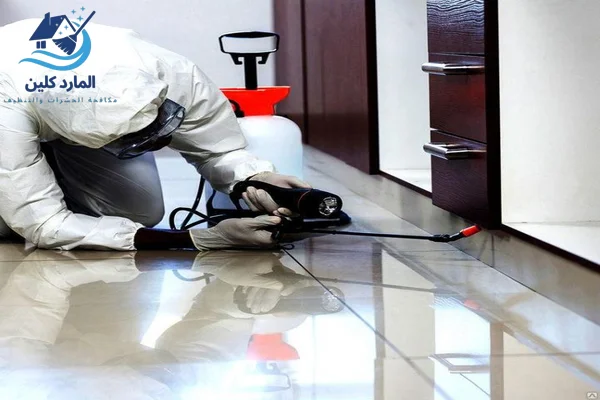 شركة مكافحة حشرات في العين
